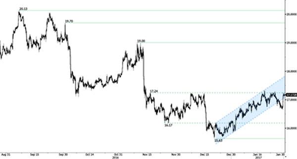 Advanced Currency Markets - Forex Issues and Risks