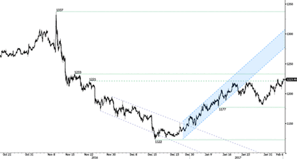 Advanced Currency Markets - Forex Issues and Risks