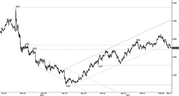 Advanced Currency Markets - Forex Issues and Risks