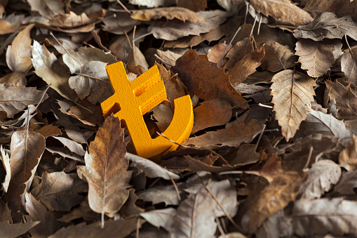 Turkey: Erdogan Chooses the Confrontation Path – TRY Collapses