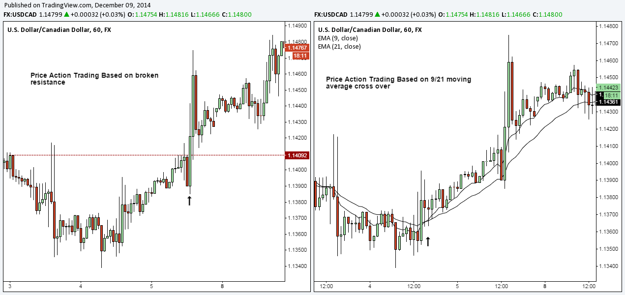 Forex price action vs indicators how to bet on forex
