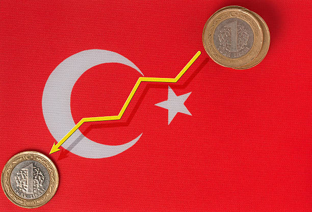 Erdogan is to Blame For Turkish Lira’s Free Fall