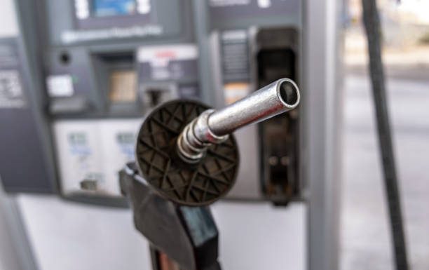 WTI: Crude Oil Steady As Investors Weigh Demand Against Supply Forces