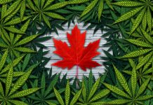 Inflation Ticks Higher in June as Fall in Gasoline Prices Abates