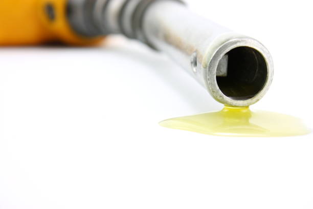 Crude Oil Price Stable ahead of OPEC+ Meeting