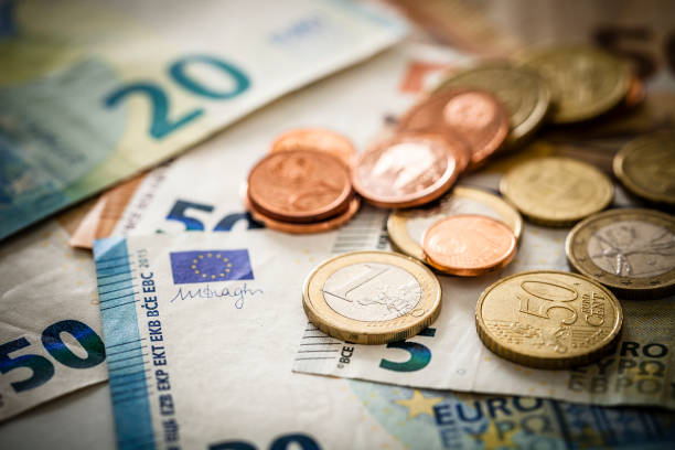 Euro Sees Modest Recovery Amid Improved Economic Sentiment, Canadian Down after CPI