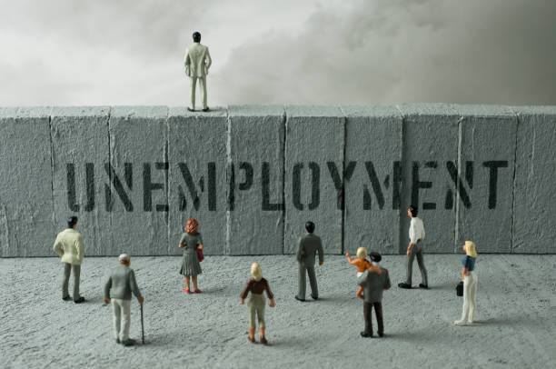 CAD Surges on Strong Job Data, USD Mixed after NFP Miss