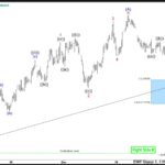 ewforecast2022013111