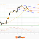 fxopen2023052922