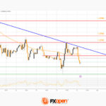 fxopen2023053111