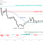 marketpulse2023052512