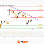 fxopen2023080911