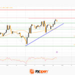 fxopen2023081412