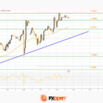 fxopen2023101111