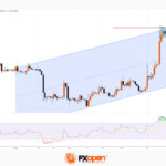 fxopen2023110211