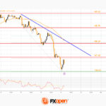 fxopen2023112912
