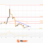 fxopen2023120611