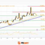 fxopen2024013121