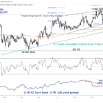 marketpulse2024012423
