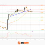 fxopen2024020222