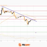 fxopen2024031311