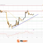 fxopen2024031312