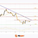 fxopen2024050911