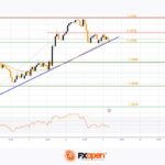 fxopen2024050912