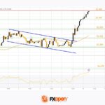 fxopen2024051021