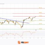 fxopen2024051022