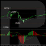 roboforex2024051611
