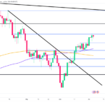 marketpulse2024070423