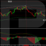 roboforex2024071811