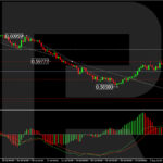 roboforex2024080611