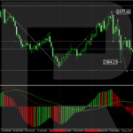 roboforex2024080811