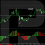 roboforex2024081911