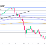 marketpulse2024100312