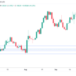marketpulse2024102832