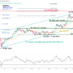 marketpulse2024102912