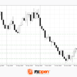 fxopen2024110111