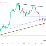 marketpulse2024110533