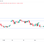 marketpulse2024110811