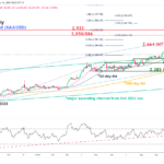 marketpulse2024111412
