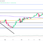 marketpulse2024112024
