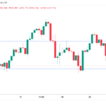 marketpulse2024112621