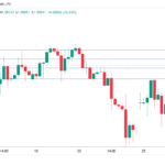 marketpulse2024112912