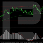 roboforex2024111311