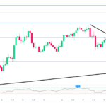 marketpulse2024123112