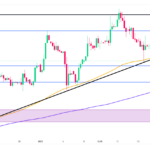 marketpulse2025012135