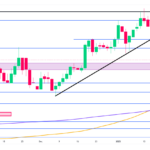 marketpulse2025012424
